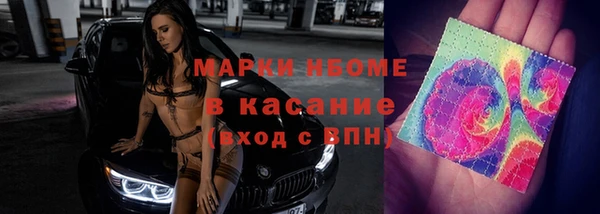 прущие грибы Нязепетровск