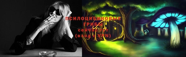 прущие грибы Нязепетровск