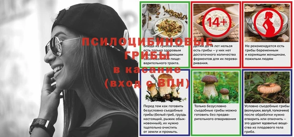 прущие грибы Нязепетровск