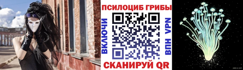 Купить где  Слюдянка  Псилоцибиновые грибы MAGIC MUSHROOMS 